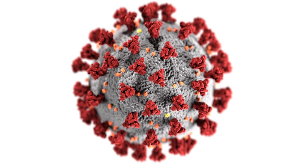 Contagious coronavirus variant identified in MI