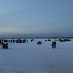 7th Annual Fish Frenzy Outdoors Ice Fishing Tournament