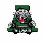 Six Alpena Hockey Players Receive All State Honors